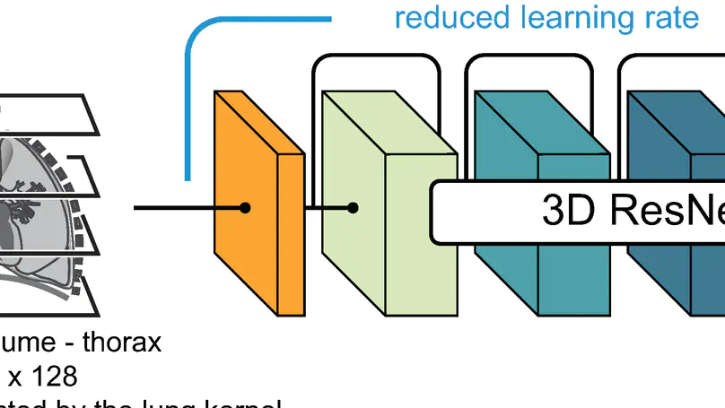Deep Learning Based Long Term Mortality Prediction in the National Lung Screening Trial
