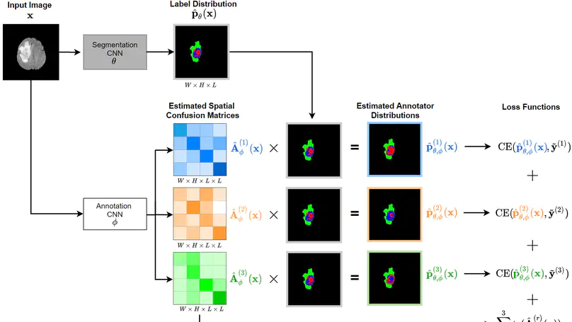 Disentangling Human Error from Ground Truth in Segmentation of Medical Images