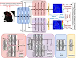 Learning Morphological Feature Perturbation for Semi-Supervised Segmentation